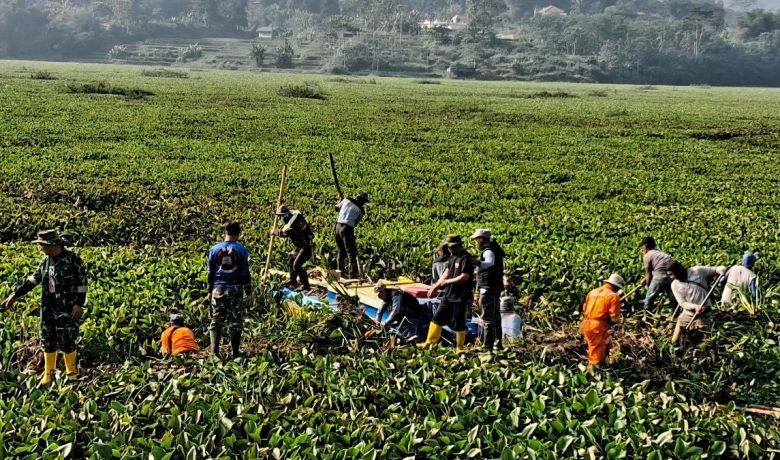 Ledakan Eceng Gondok di Waduk Saguling – PLN Sorot Kualitas Air Sungai Citarum