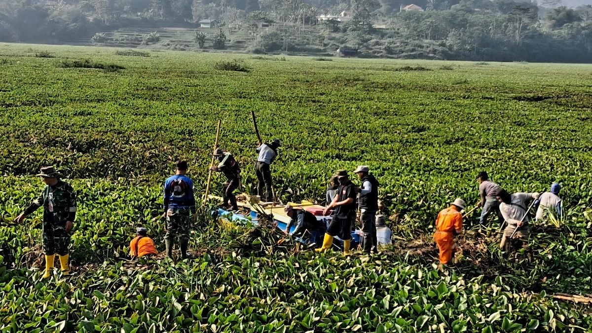 Ledakan Eceng Gondok di Waduk Saguling – PLN Sorot Kualitas Air Sungai Citarum