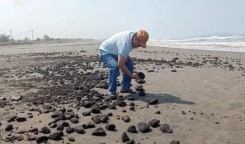 Facing Challenges: Tumpahan Batu Bara Ancam Ekosistem Laut Pangandaran, HNSI Siapkan Gugatan