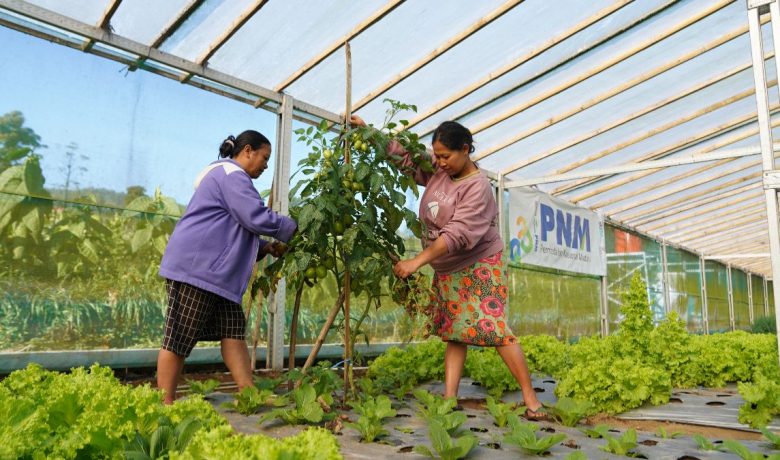 New Policy: Indonesia Sustainability Award Apresiasi Komitmen ESG dan Pemberdayaan Berkelanjutan PNM