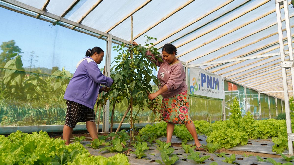 New Policy: Indonesia Sustainability Award Apresiasi Komitmen ESG dan Pemberdayaan Berkelanjutan PNM