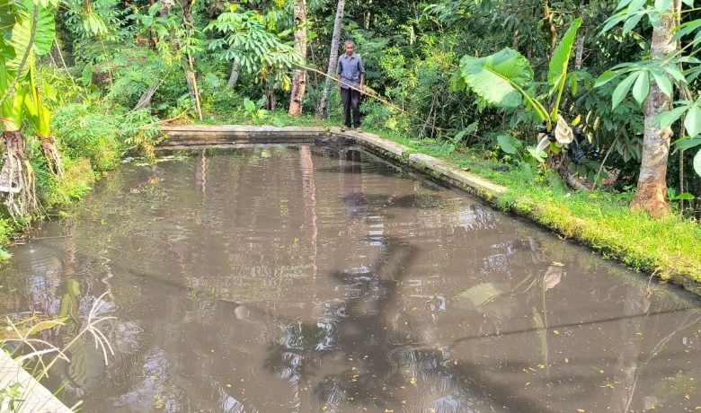 Ratusan Kolam Warga di Tamansari Tasikmalaya Mendadak Menghitam – Ikan Mati Massal