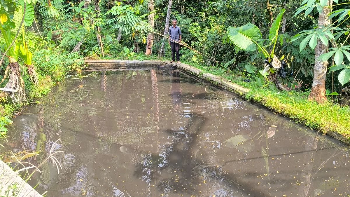 Ratusan Kolam Warga di Tamansari Tasikmalaya Mendadak Menghitam – Ikan Mati Massal