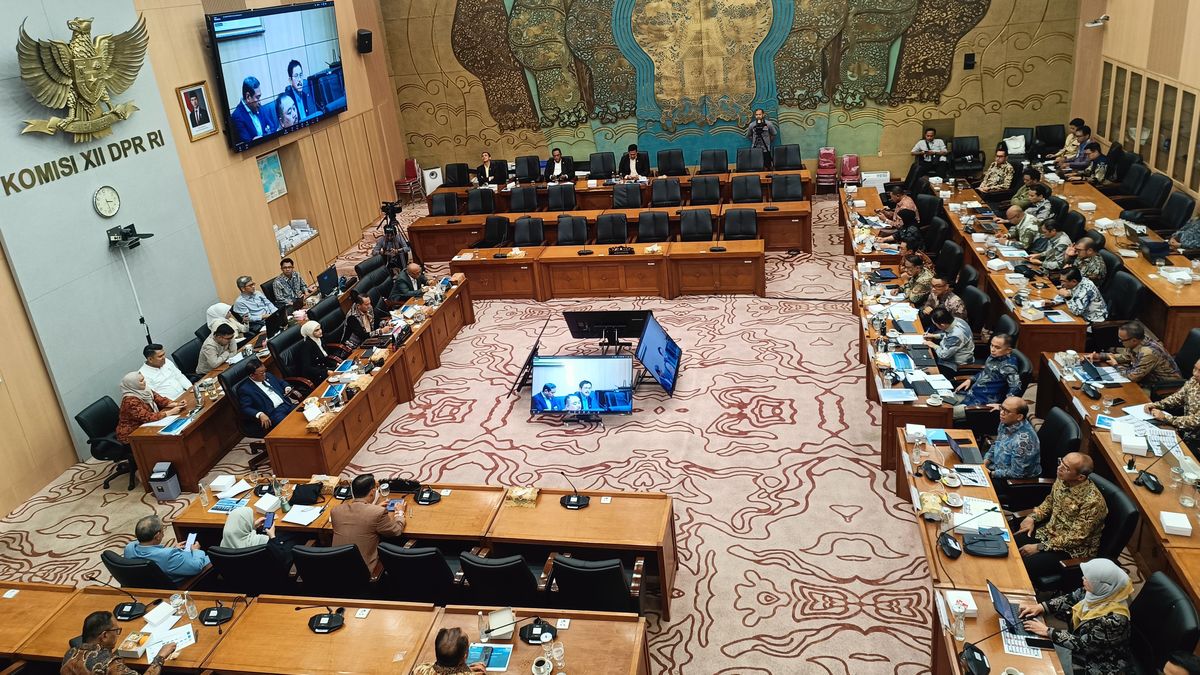 Facing Challenges: Komisi XII Cecar Dirut PLN, Pertanyakan Penyebab Pemadaman Listrik Bergilir di Sumatera dan Jawa