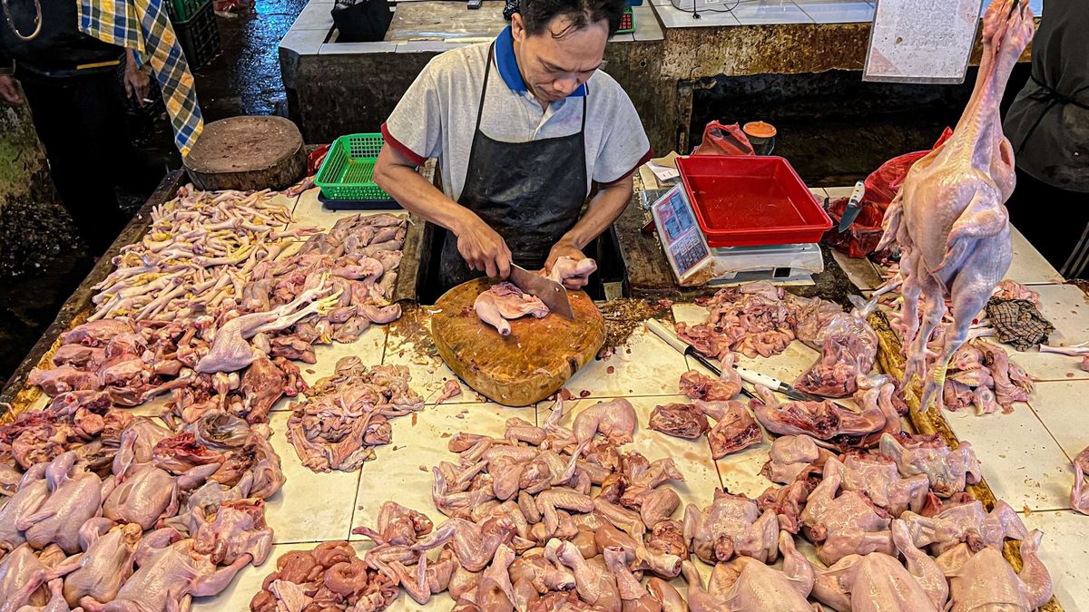 New Policy: HAP Baru Berlaku dan MBG Mulai Lagi, Harga Daging Ayam dan Telur Ayam di Cimahi Naik