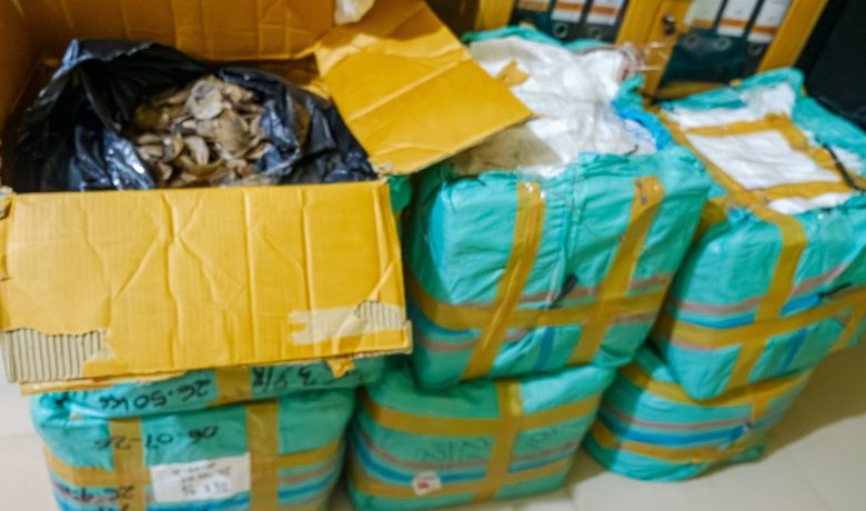 Bea Cukai Tanjungpinang Gagalkan Penyelundupan 216 Kilogram Sisik Tenggiling di Pelabuhan Roro Tanjung Uban