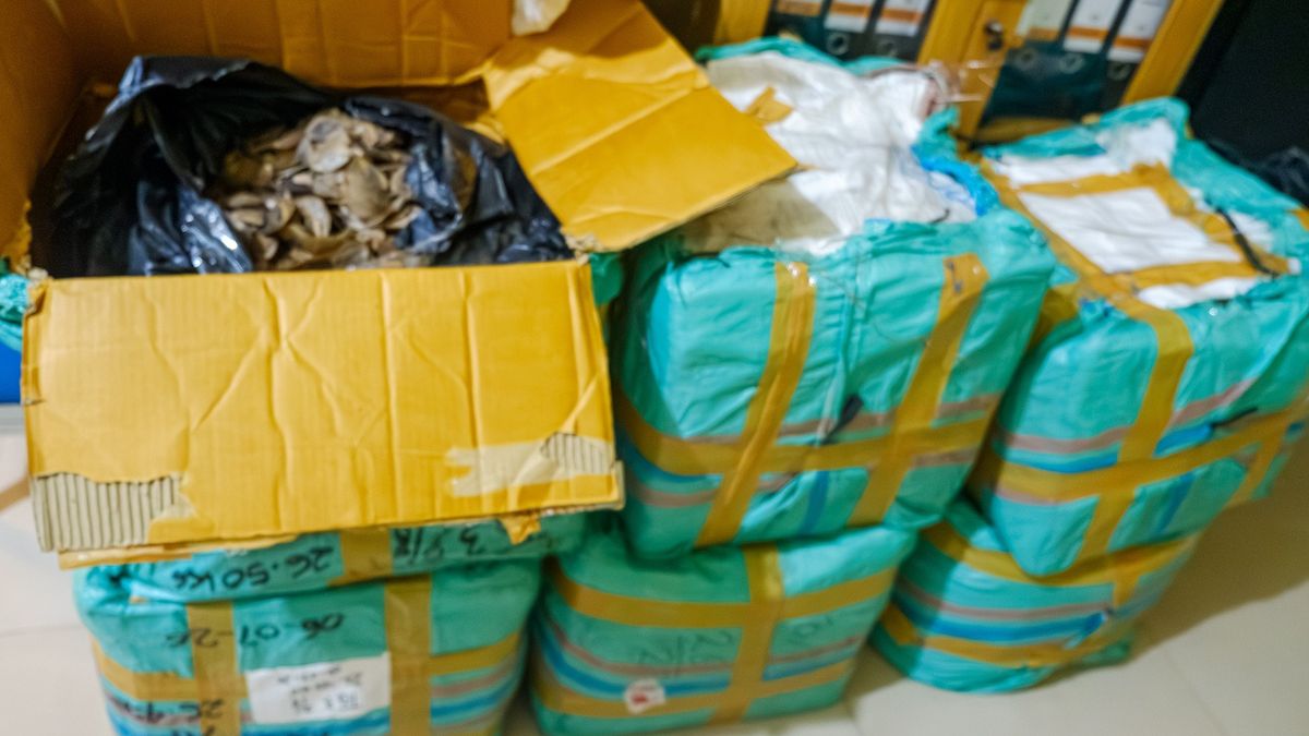 Bea Cukai Tanjungpinang Gagalkan Penyelundupan 216 Kilogram Sisik Tenggiling di Pelabuhan Roro Tanjung Uban